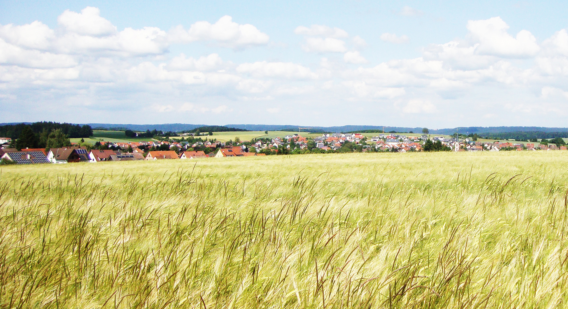 Headerbild der Gemeinde Villingendorf