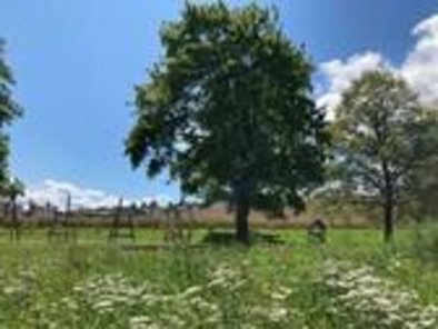 Fitness- und Generationenpark